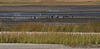 _A010105rotcroofm.jpg